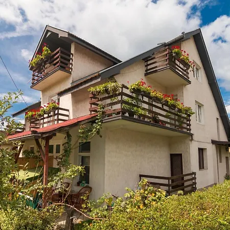 Drina - Bajina Basta