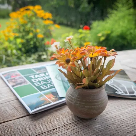 Pensjonat Drina - 3*